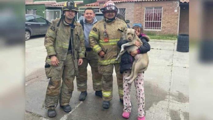 ¡Lo salvaron! Perrito es rescatado de un incendio por bomberos de Tijuana