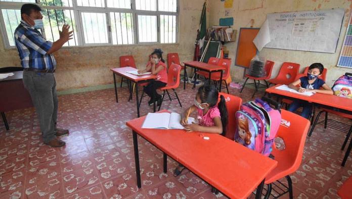 Abrirán escuelas cada quince días 