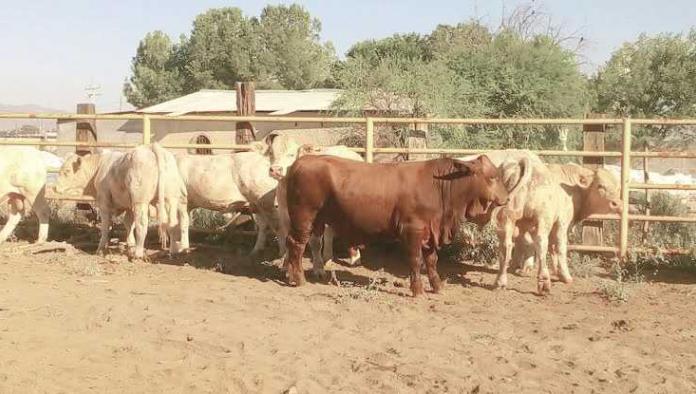 Castiga al campo Gobierno Federal