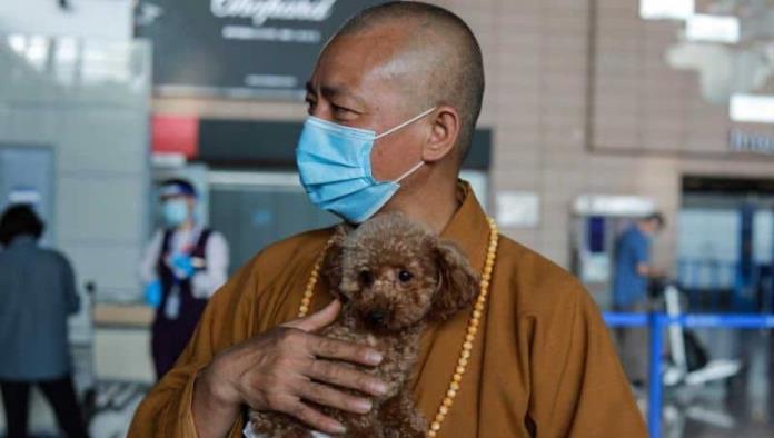 El monje que salvó a 8 mil perros callejeros
