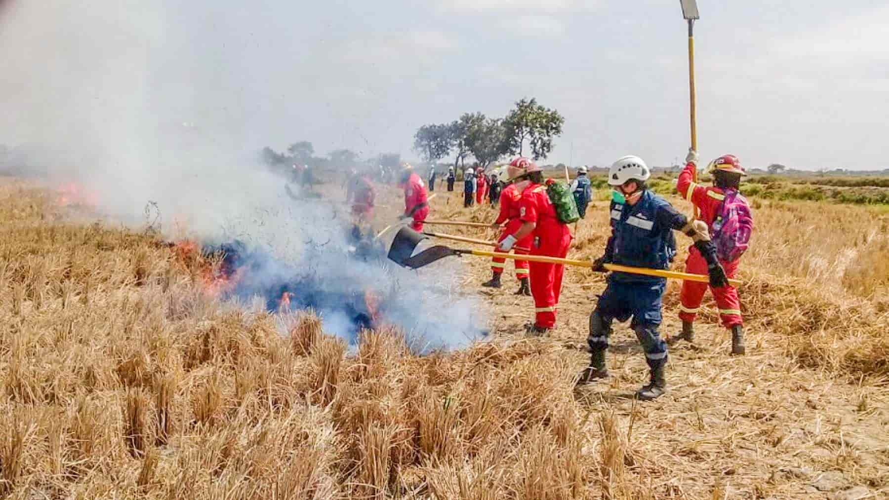 Capacitarán  a brigadistas