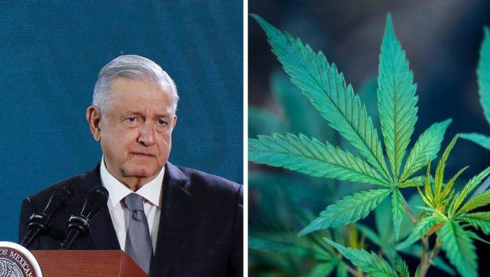 Si marihuana lúdica no ayuda a frenar violencia, enviaré iniciativa al Congreso: AMLO