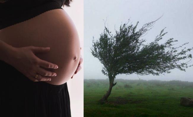 ¡Increíble! Mujer asegura haberse embarazado con una ráfaga de viento