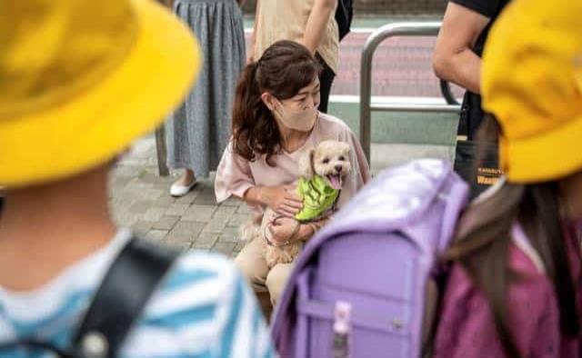Patrulla de perros cuida a los niños en Japón