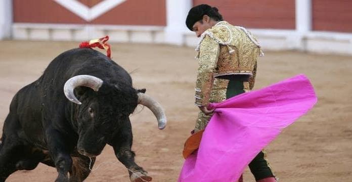 Nombran ‘Feminista’ y ‘Nigeriano’ a toros; terminan prohibiendo corridas taurinas