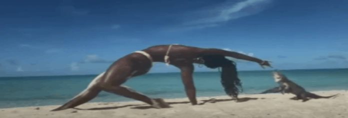 Maestra de yoga es mordida por una iguana