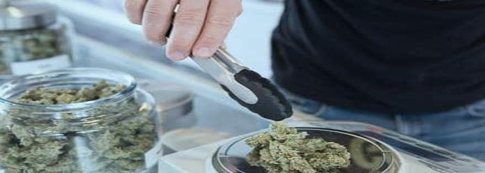 Aprueban en Panamá usar cannabis con fines medicinales