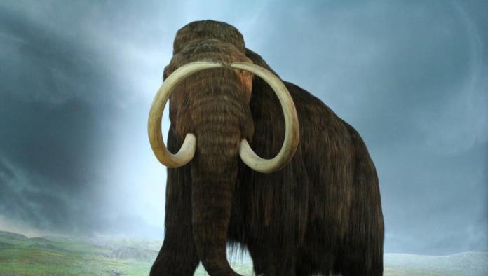 Recaudan 15 millones de dólares para revivir a los mamuts