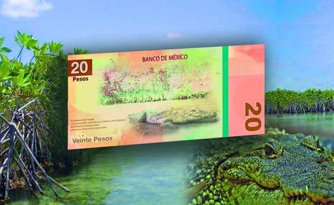 ¿No has checado el nuevo billete de 20 pesos?: entérate qué celebra