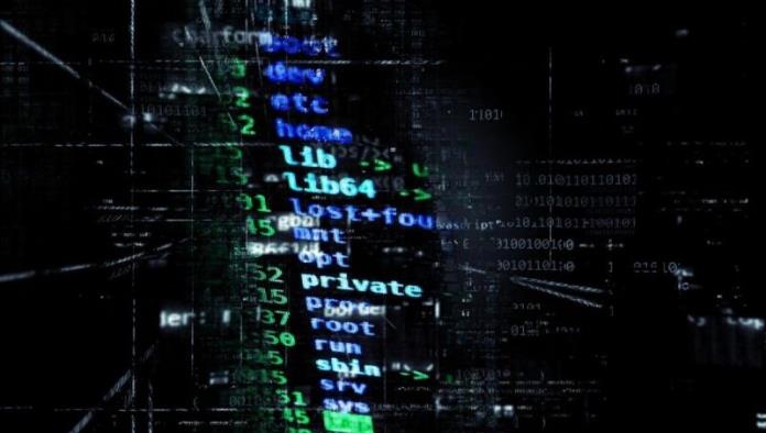 Arrestan a 150 personas en operativo mundial contra deep web