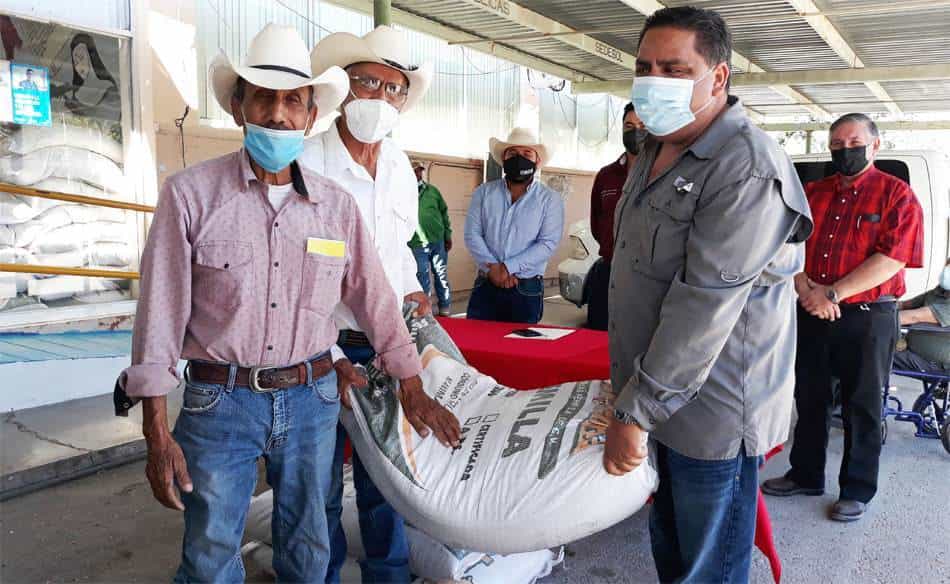 A bajo costo otorga Morelos semilla de avena