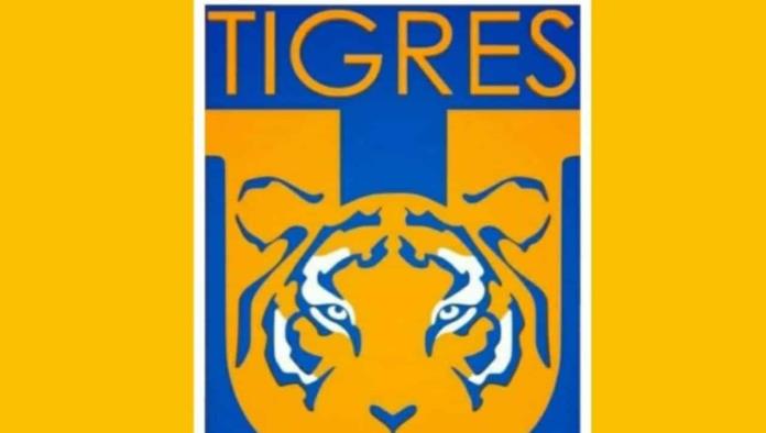 Pide la mano de su novia con playera del Club Tigres porque había partido  (VIDEO)