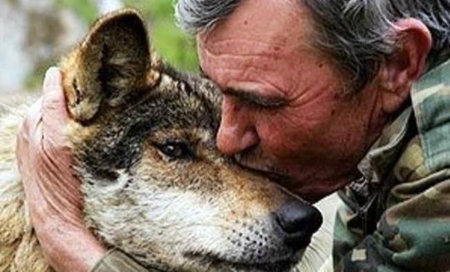 Increíble: vende a su hijito y termina 12 años viviendo con lobos