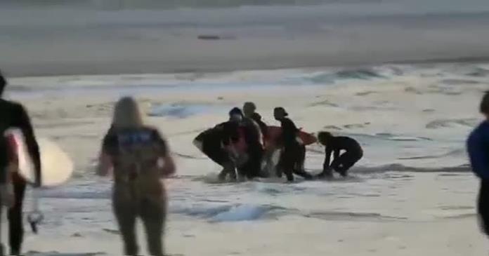 Muere surfista por ataque de tiburón en una playa de California