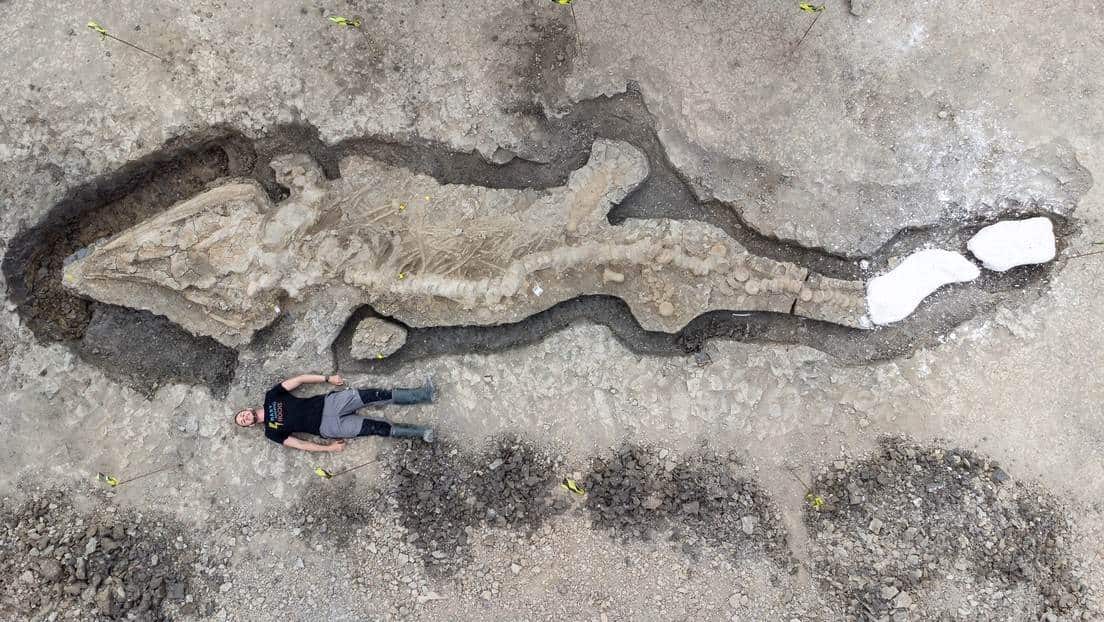 Encuentran fósil de un Dragon Marino en el Reino Unido