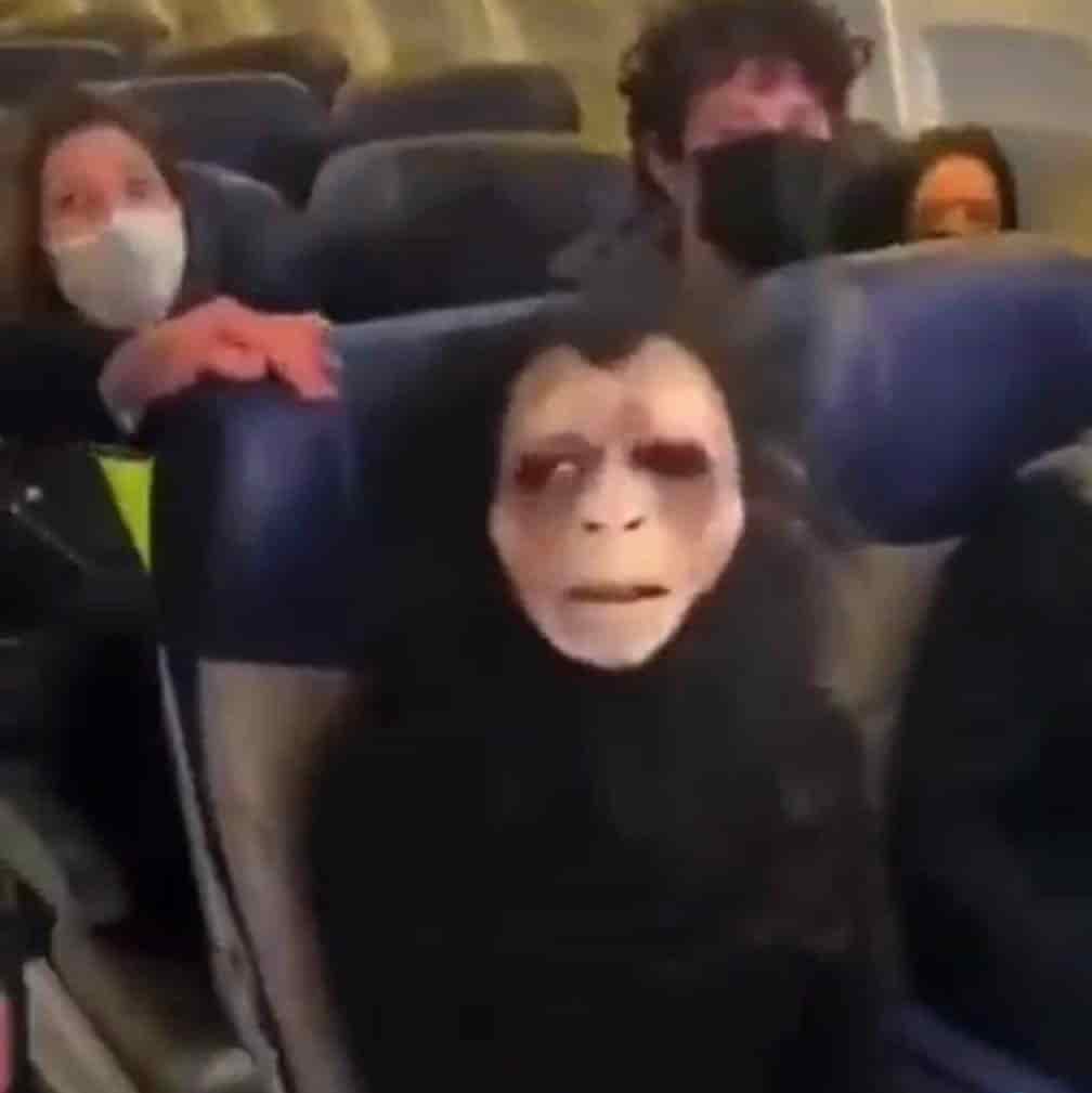 Lady Chango: Se niega a usar cubrebocas y se pone mascara de simio