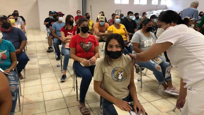 Llegan brigadas  de vacunación