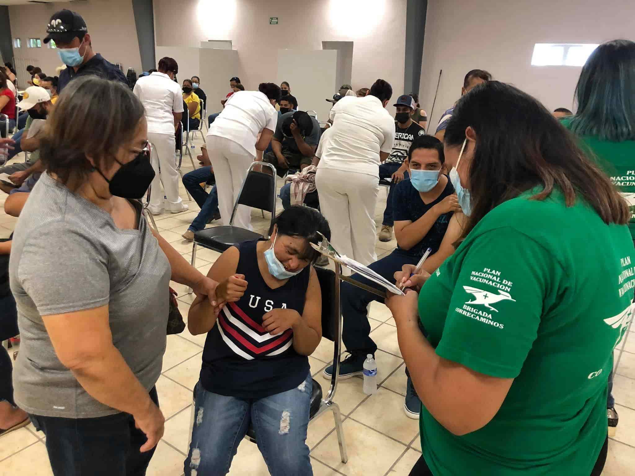 Llegan brigadas  de vacunación