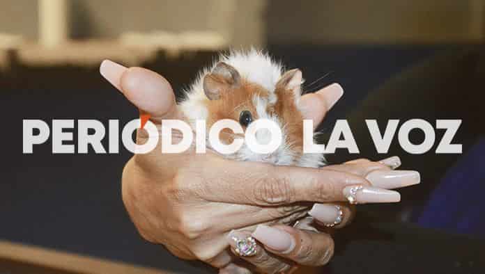 Encierran a ebrio con todo y cuyo