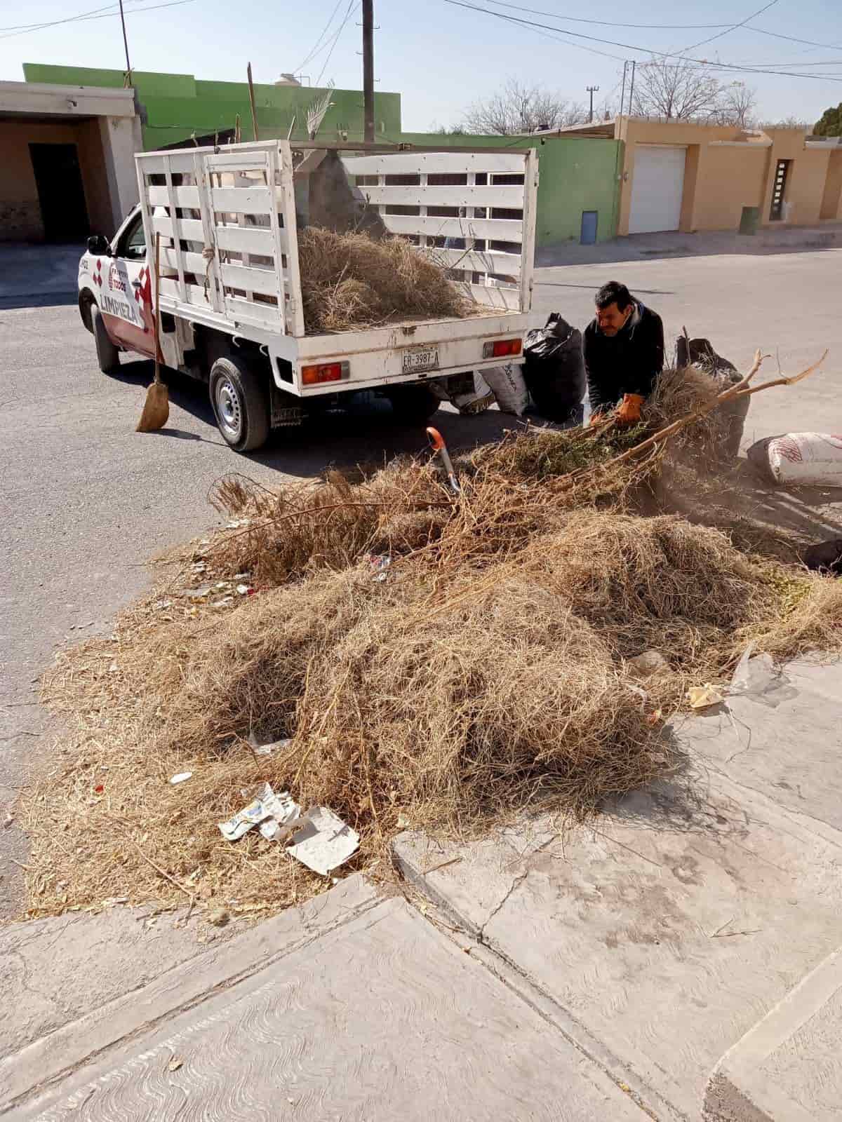 Embellece Beto a Ciudad Frontera