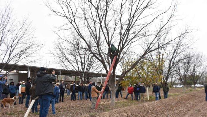 Suman esfuerzos por el campo sanbonense