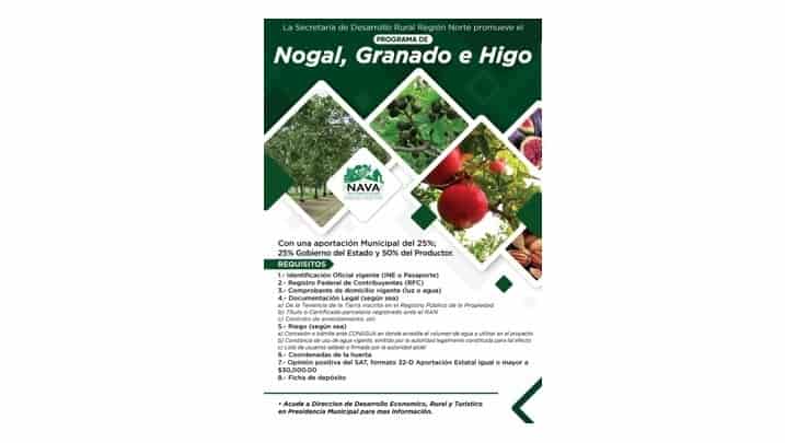 Fomento Agropecuario impulsan programa de Nogal, Granado e Higo