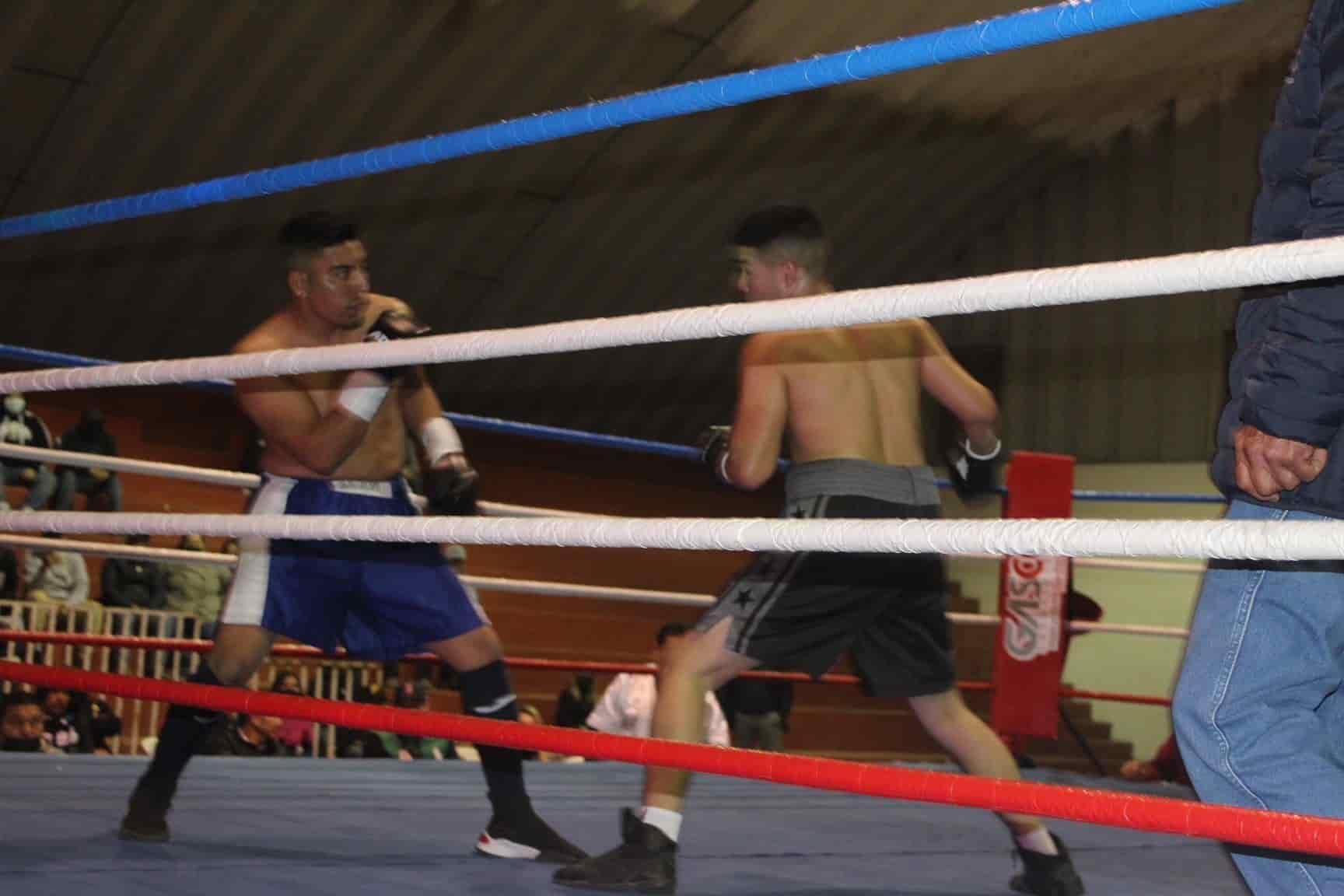 NOCHE ESTELAR  DE BOXEO