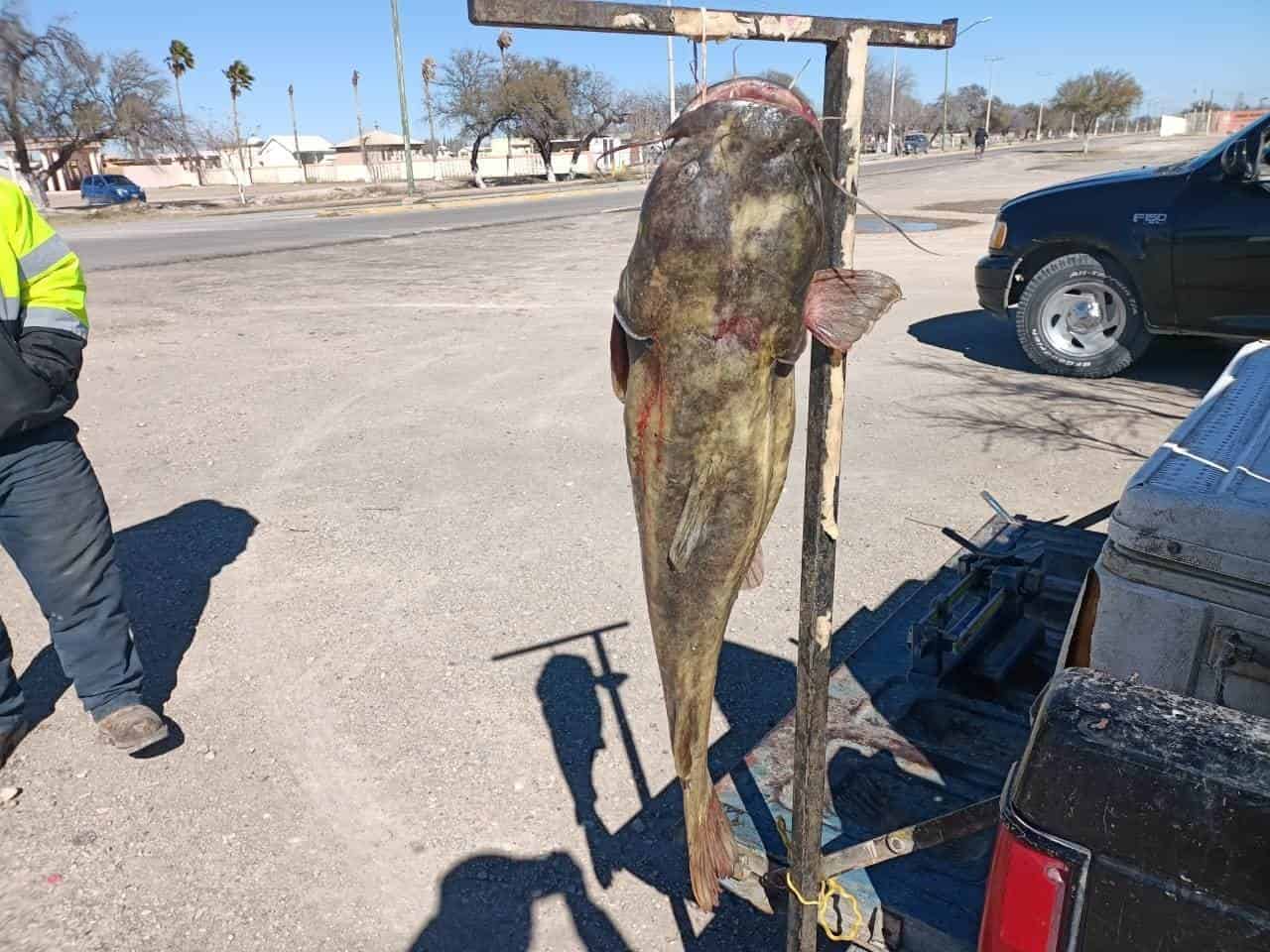Impacta sequia a pescadores