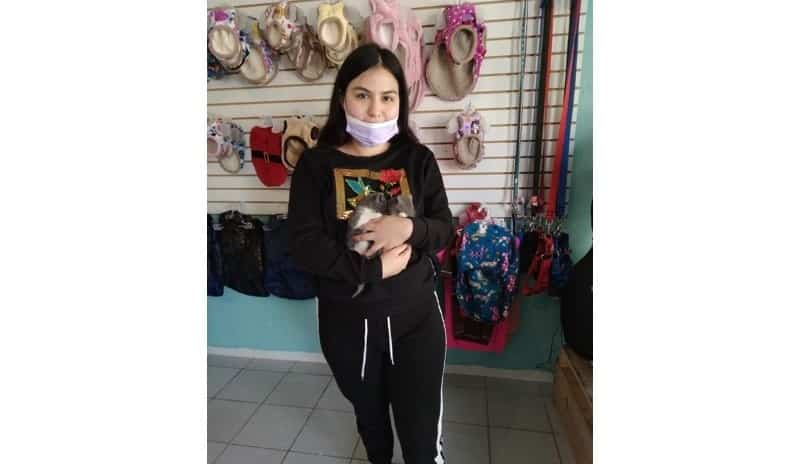`Fundación Solovino´  esterilizaran mascotas a bajo costo