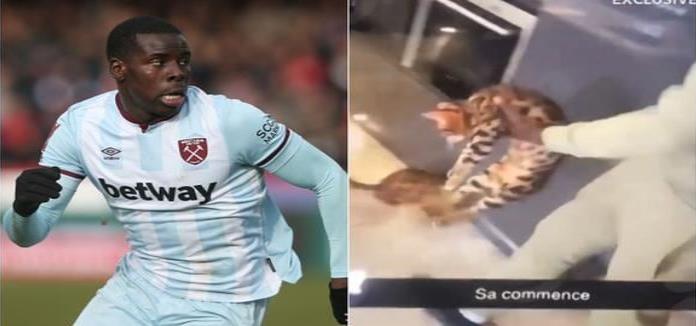 Salvaje futbolista del West Ham es grabado golpeando un gato