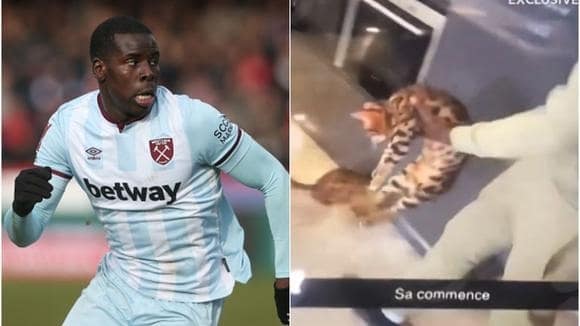 Salvaje futbolista del West Ham es grabado golpeando un gato