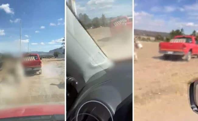 “No me dejó dormir”: arrastra a un burro con su camioneta