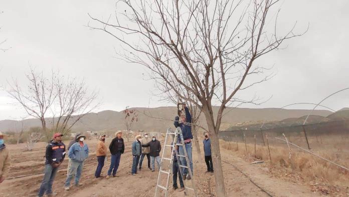 Brinda capacitación SEDER a nogaleros