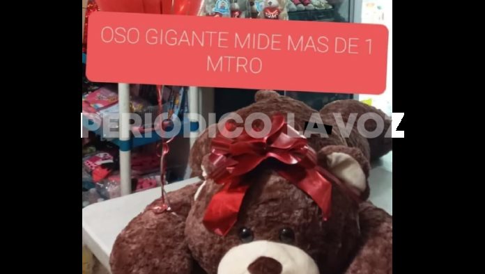 Ahora si que: ¡Que oso! Roba oso de 600 pesos en San Valentín