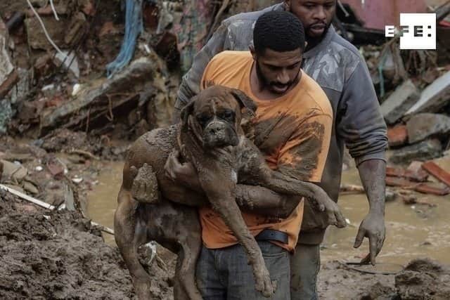 Lluvias y deslaves asesinan a 58 personas en Brasil