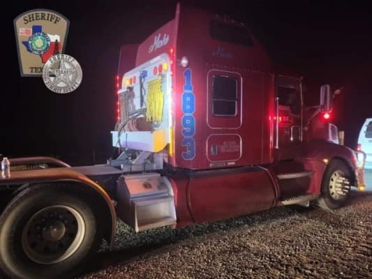 Aseguran a 17  migrantes