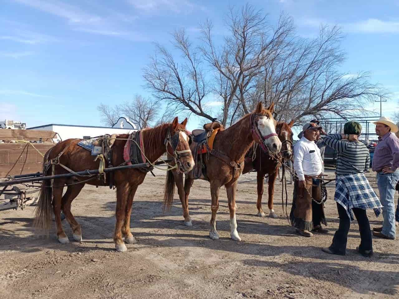 Arranca la XXV Cabalgata de Nava