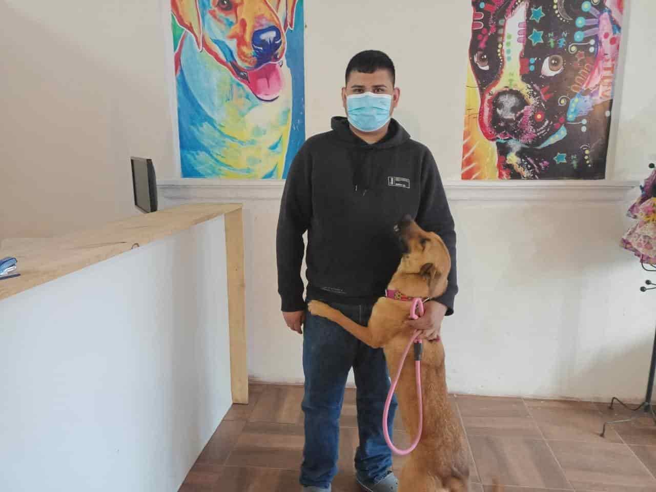 Esterilizan a  50 mascotas