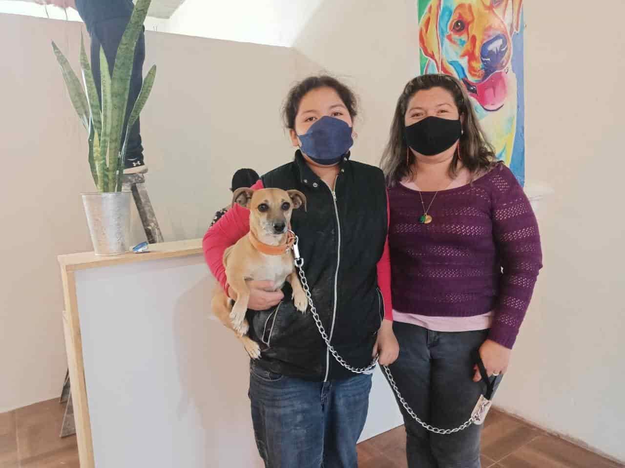 Esterilizan a  50 mascotas