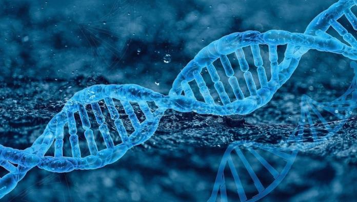 Identifican variante genética que causa covid grave pero protege de VIH 
