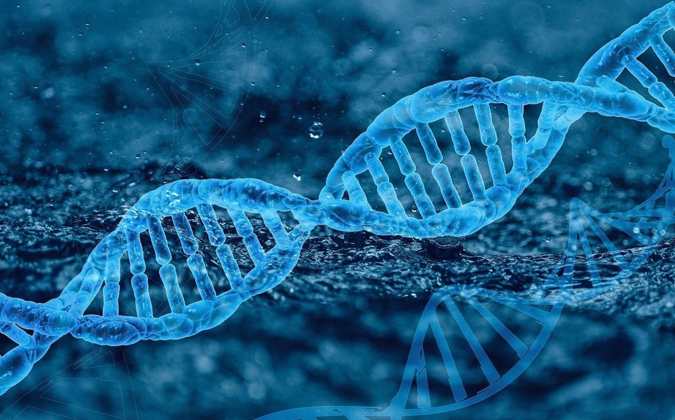 Identifican variante genética que causa covid grave pero protege de VIH 