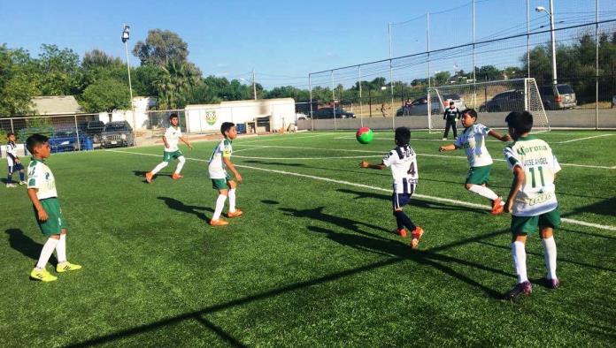 CASCARITA PARA  RAYADOS