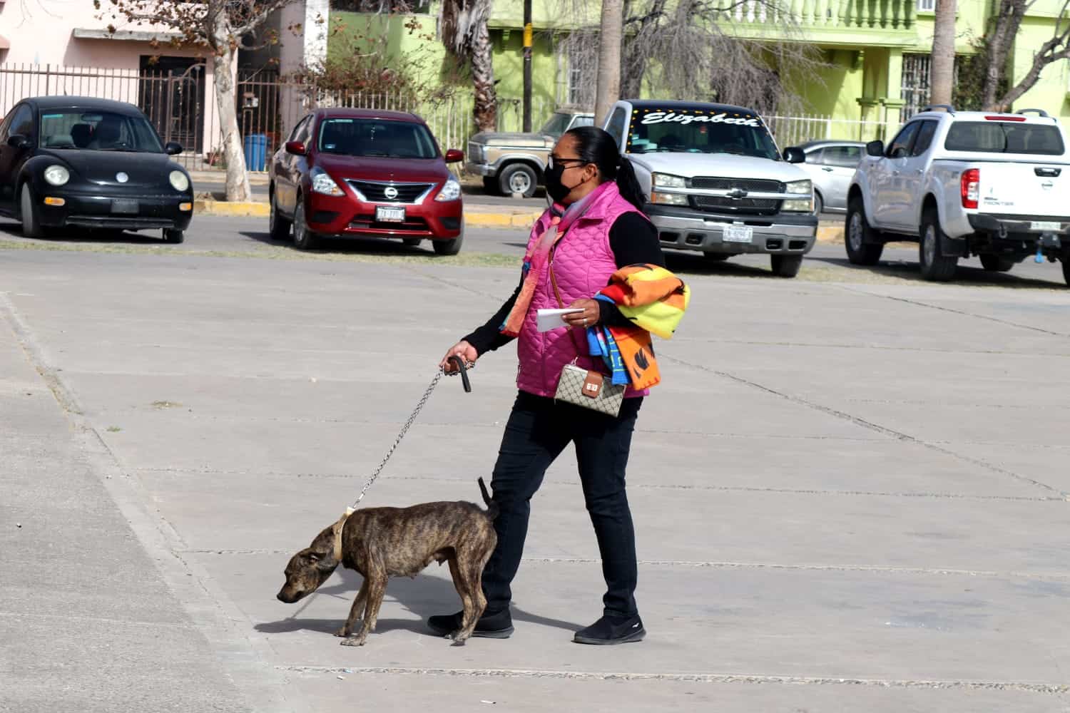 Brinda Sabinas, atención integral a mascotas