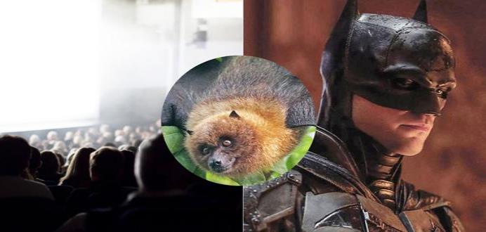 Murciélagos reales interrumpen durante el estreno de “The Batman” en un cine