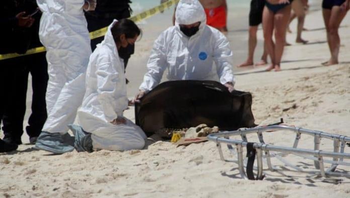 Turistas encuentran huesos humanos en playa de Cancún