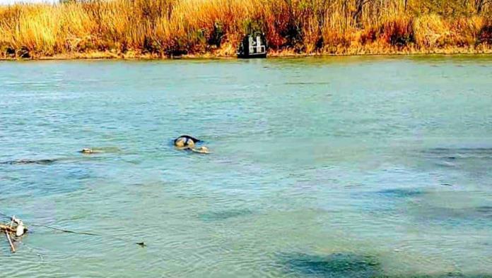 Arroja río un cuerpo en la Presidentes