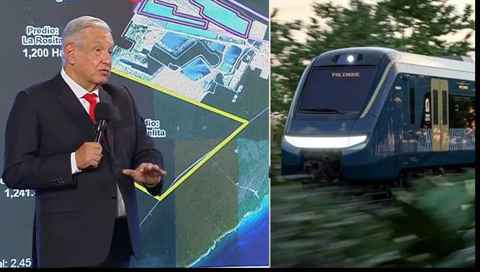 Reconoce AMLO que Tren Maya daña 50 hectáreas verdes