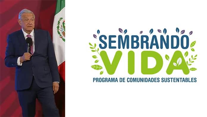 Destina México mil 500 millones de dólares al programa  Sembrando Vida: AMLO