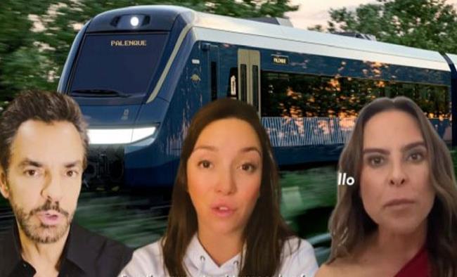 INE descarta denuncia contra artistas por campaña contra el Tren Maya
