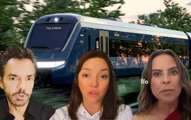 INE descarta denuncia contra artistas por campaña contra el Tren Maya